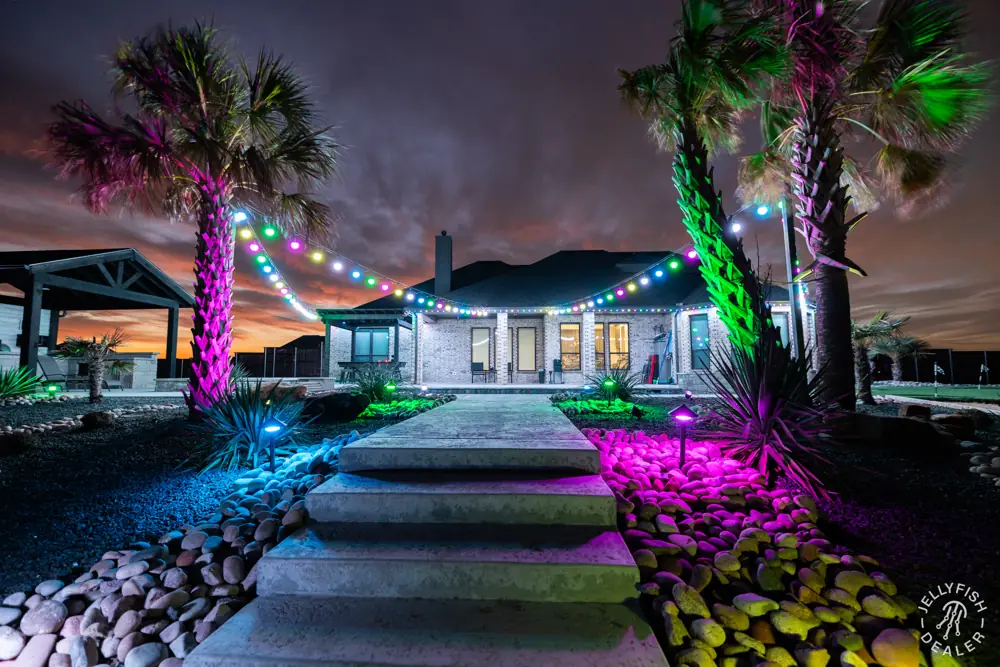 Backyard with palm trees, string lights and colored pathway lights