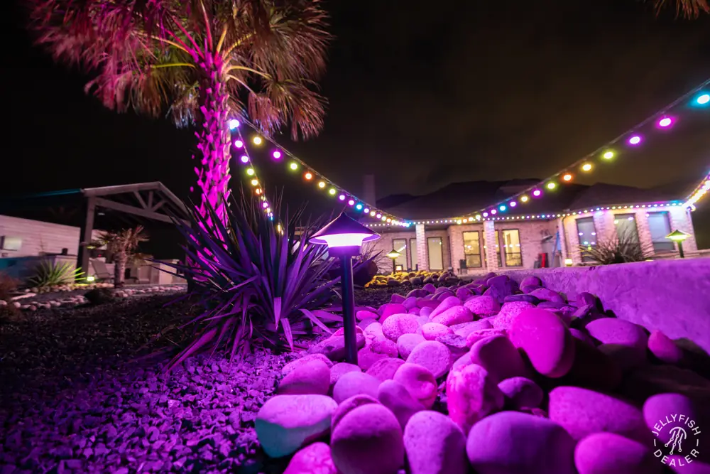 Color spot lights washing a palm tree and river rock bed